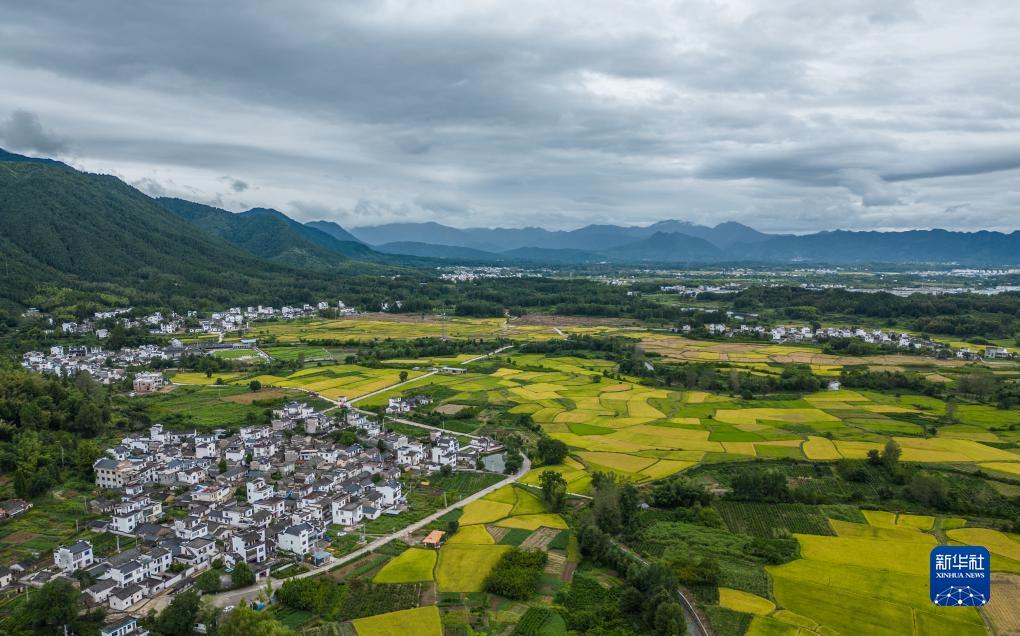 天游官方论坛
