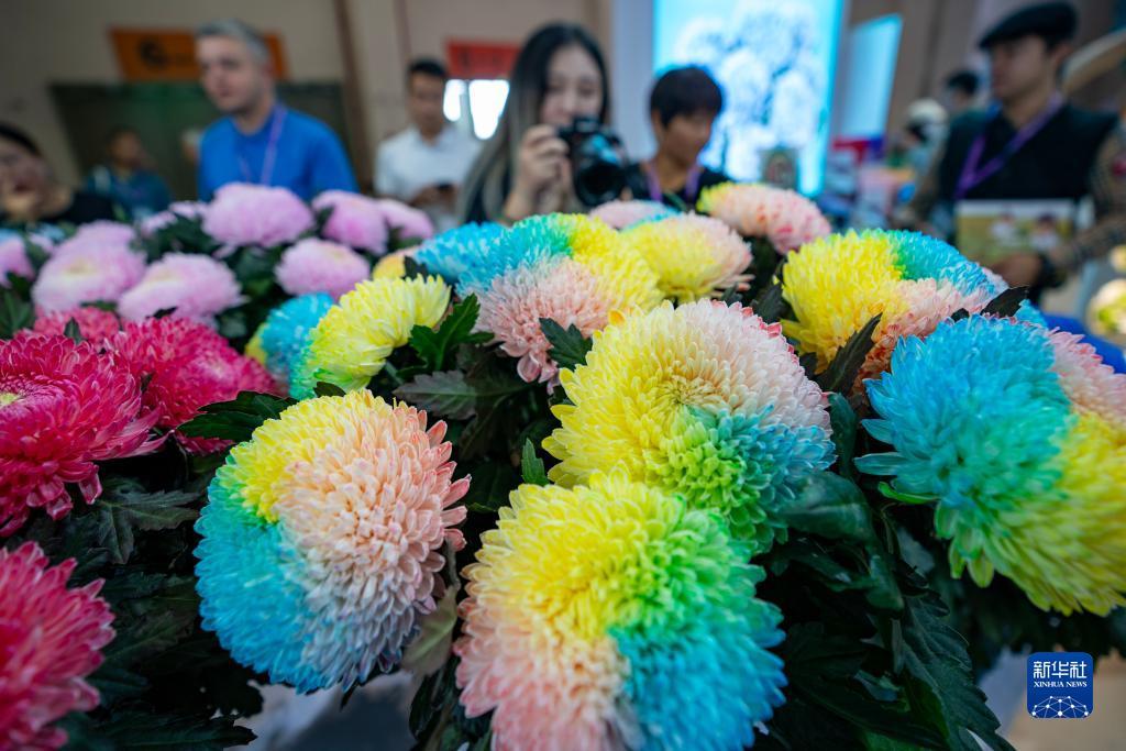 皇冠炸金花下载